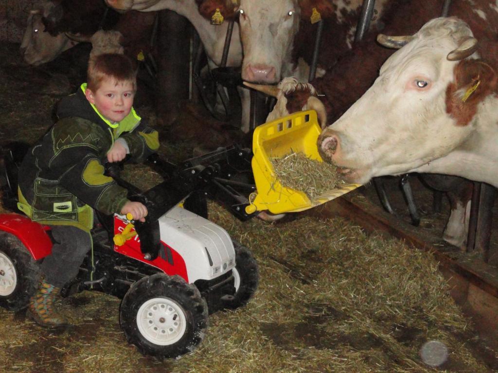 Baby- Und Kinderhof Aicherbauer Seeham Bagian luar foto