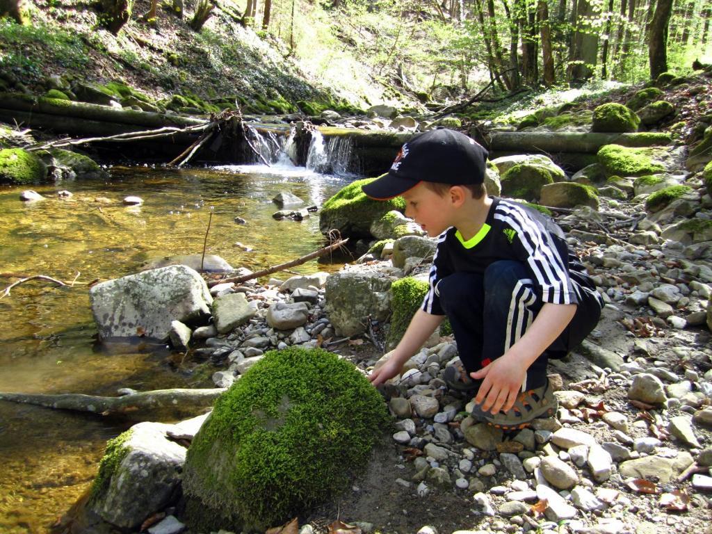 Baby- Und Kinderhof Aicherbauer Seeham Bagian luar foto