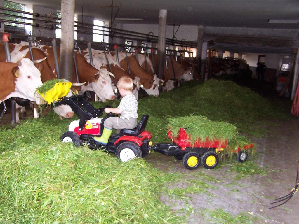 Baby- Und Kinderhof Aicherbauer Seeham Bagian luar foto