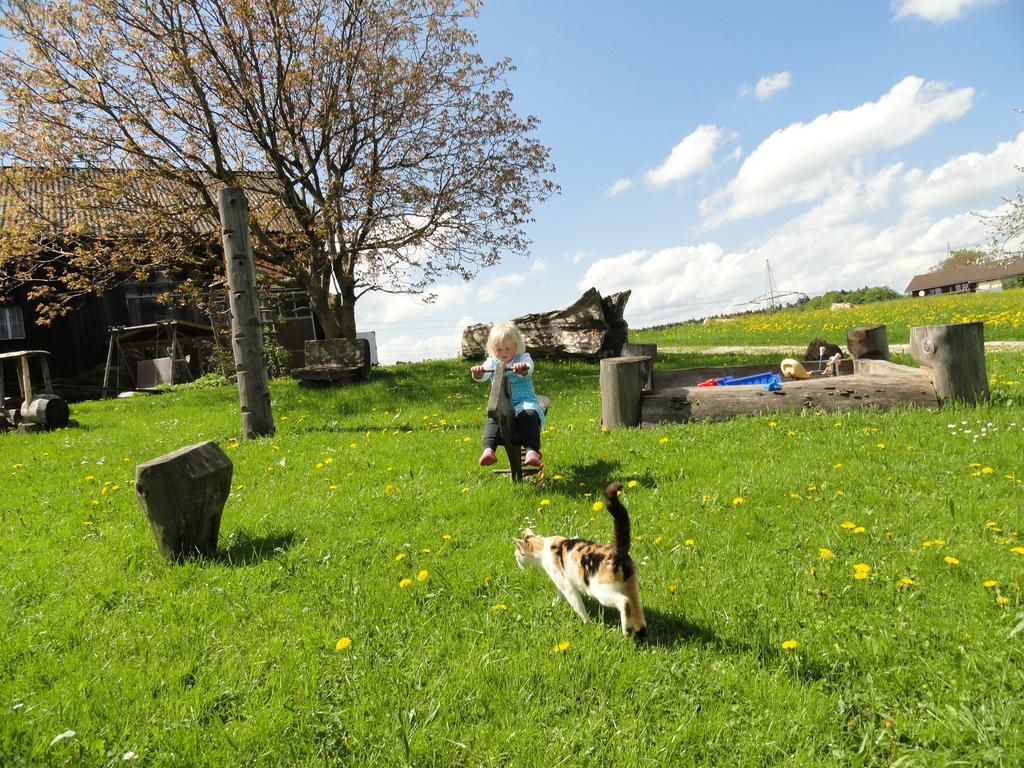 Baby- Und Kinderhof Aicherbauer Seeham Bagian luar foto