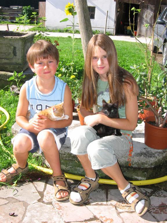 Baby- Und Kinderhof Aicherbauer Seeham Bagian luar foto